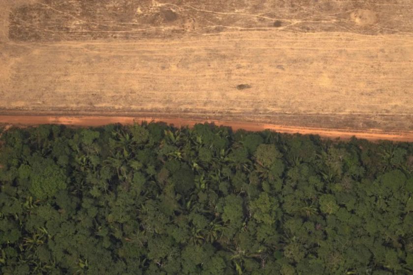 Brasil desforestó un área del tamaño de Israel en 2022