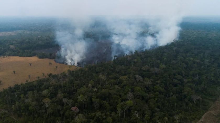 La deforestación en la Amazonía brasileña cayó un 33,6 % en el primer semestre