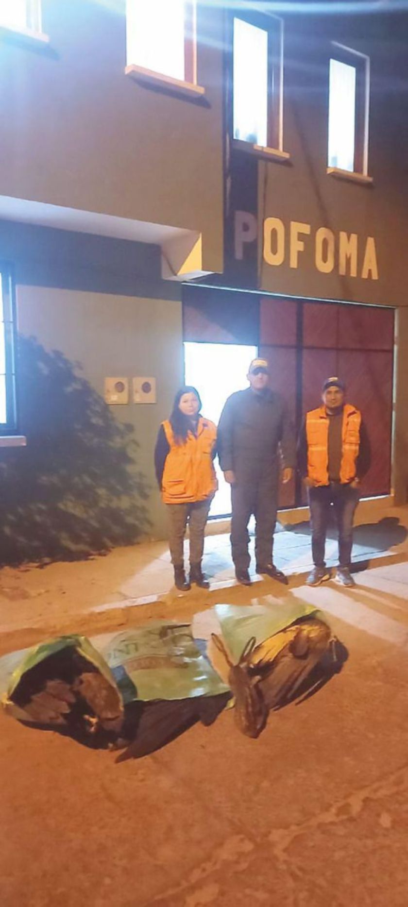 Esperan resultados de análisis tras muerte de cóndores en Chuquisaca