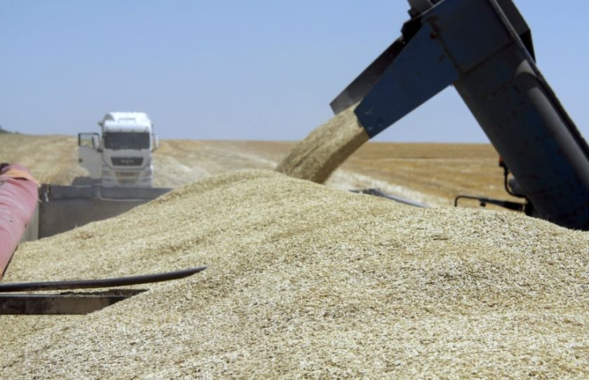 Se confirma que Rusia se retira de forma “inmediata” de la iniciativa para exportar grano de Ucrania a través del Mar Negro