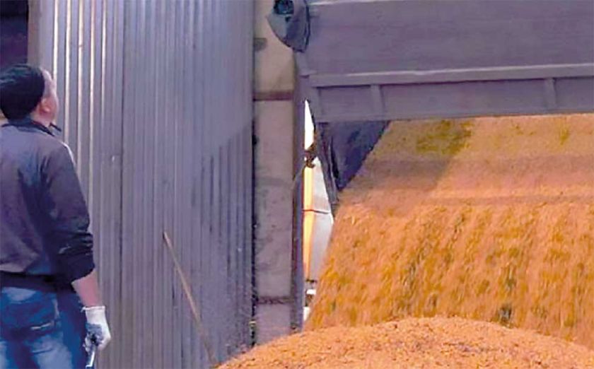 Rusia cierra acuerdo para importar grano ucraniano