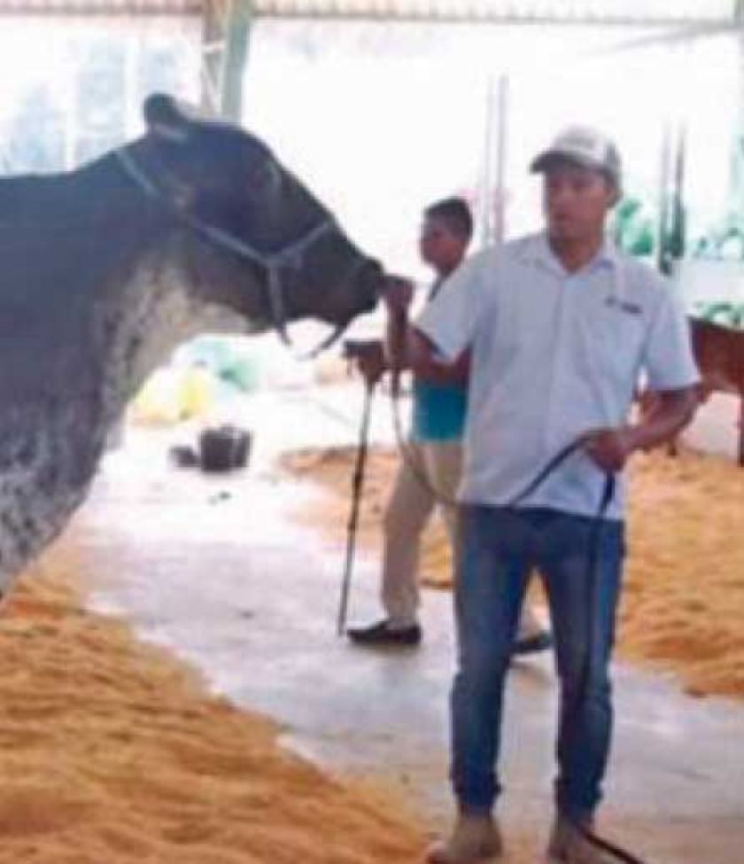 Emergencia en el agro por último caso de abigeato