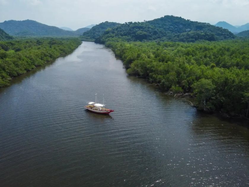 Brasil tendrá que invertir una millonaria suma para recuperar sus bosques