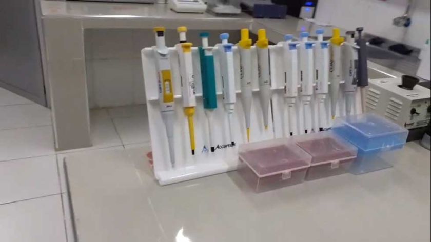 Laboratorios cuentan con los insumos para seguir detectando covid