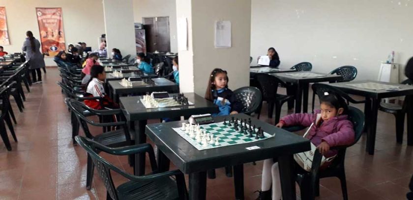 Desarrollaron fase virtual de las olimpiadas de ajedrez en Potosí
