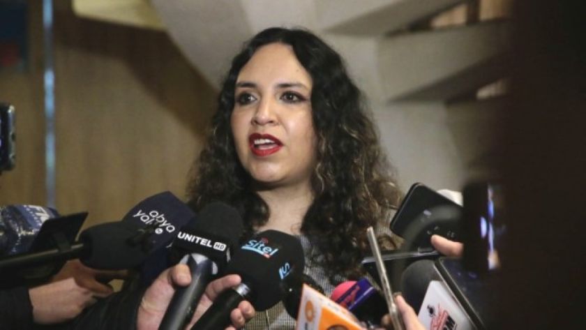 Ministra de Salud pide investigar los casos de intoxicación en colegios de La Paz y Potosí