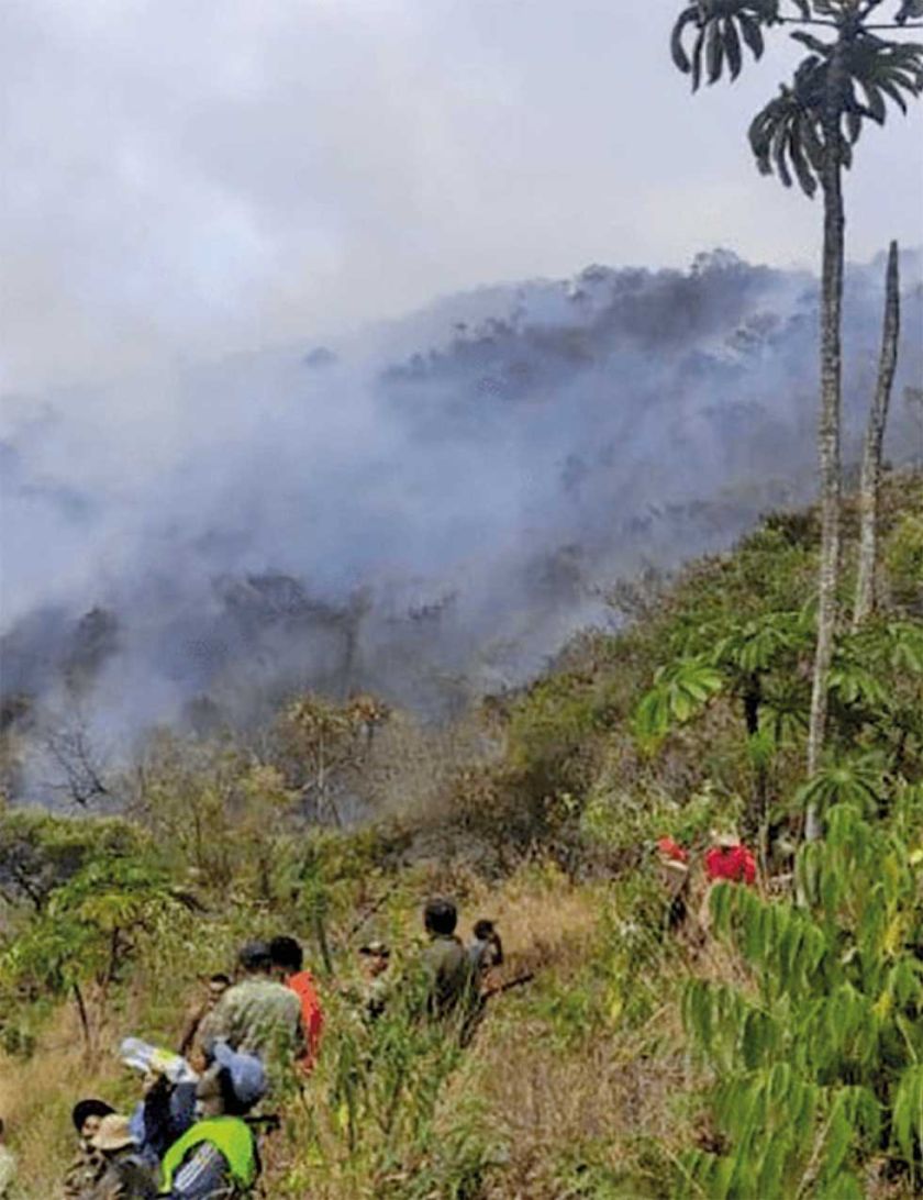 Hay 2 incendios activos,  controlados en un 95%