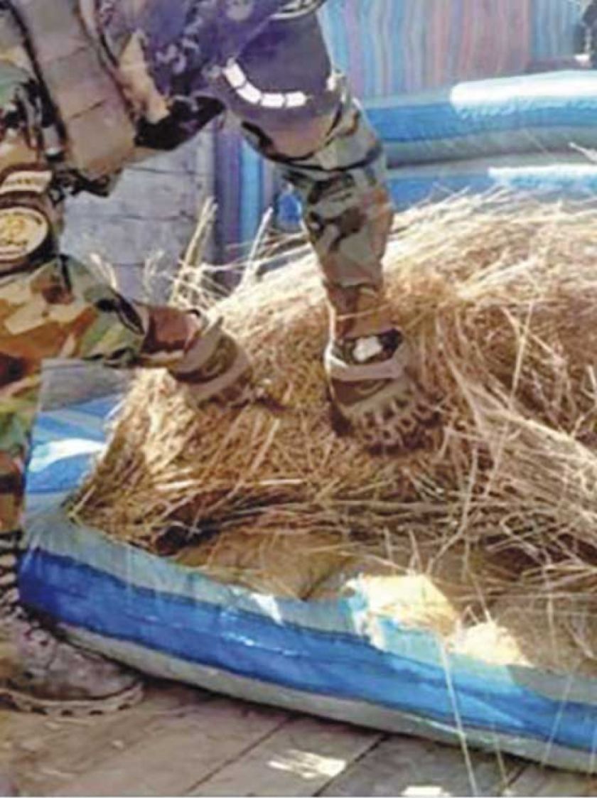 Hallan 800 kilos de marihuana en colchones