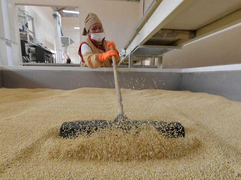 Buscan financiamiento para las plantas de quinua y frutales