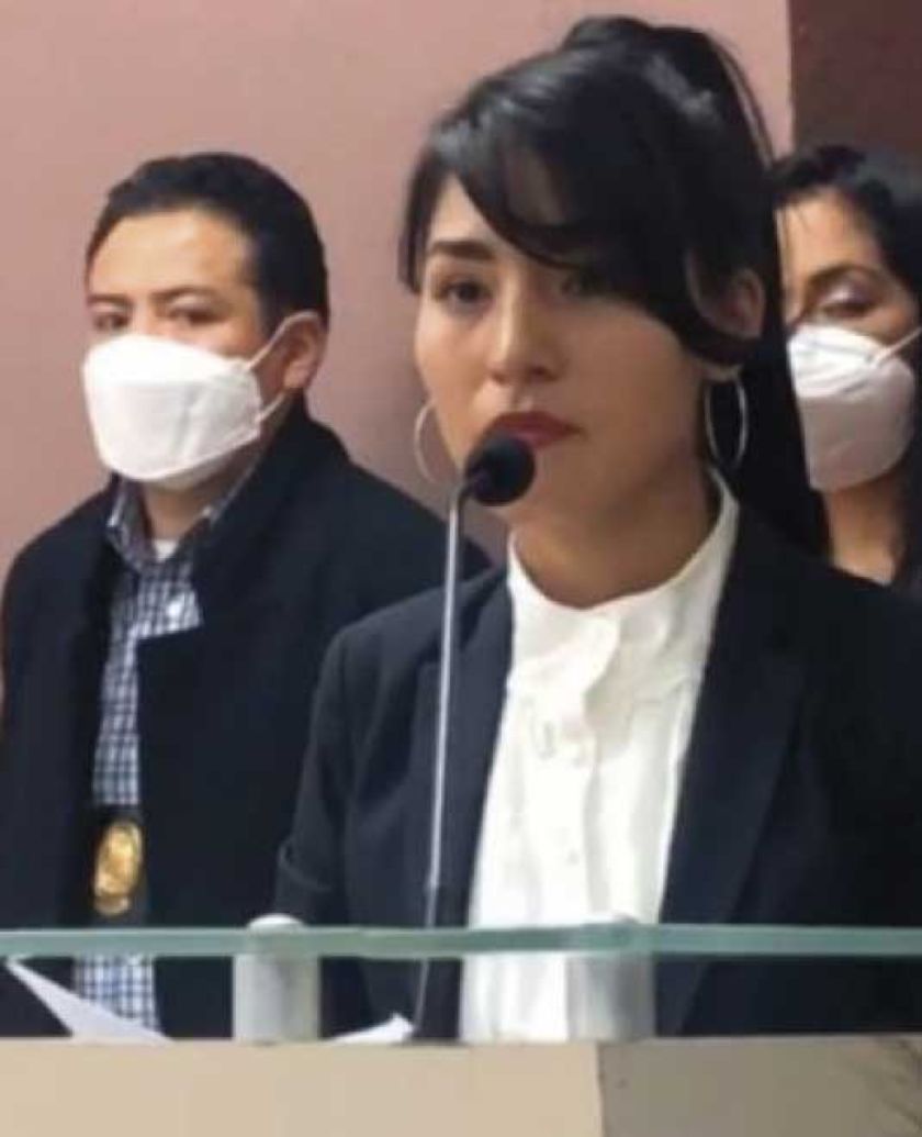 Diputado tilda de mediocre gestión de exviceministra