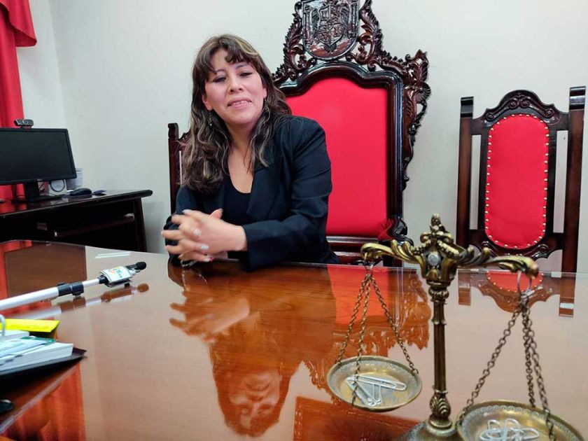Presidenta asume el cargo del TDJ con el desafío de bajar carga procesal