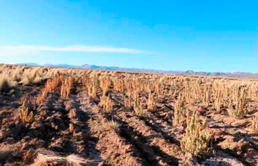 Potosí busca recursos con ley de desastre por sequía