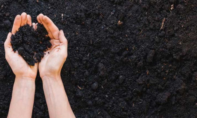 Construirán en Potosí una planta de agroinsumos