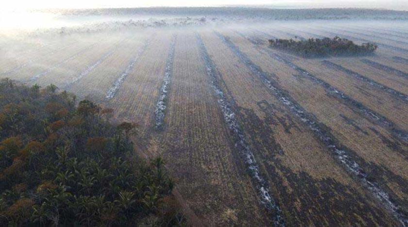 La deforestación en Bolivia creció en 32 por ciento entre 2021 y 2022