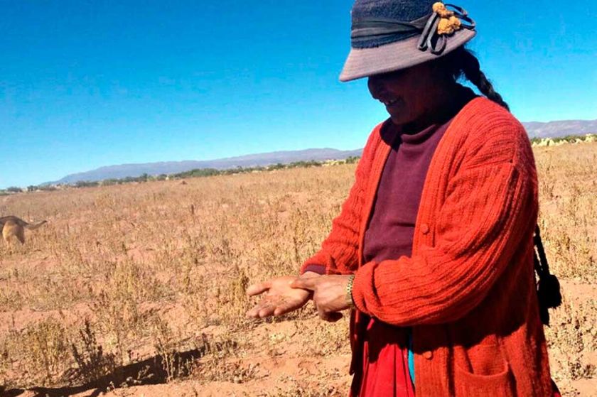 Algunas familias recorren hasta cinco kilómetros para conseguir su agua