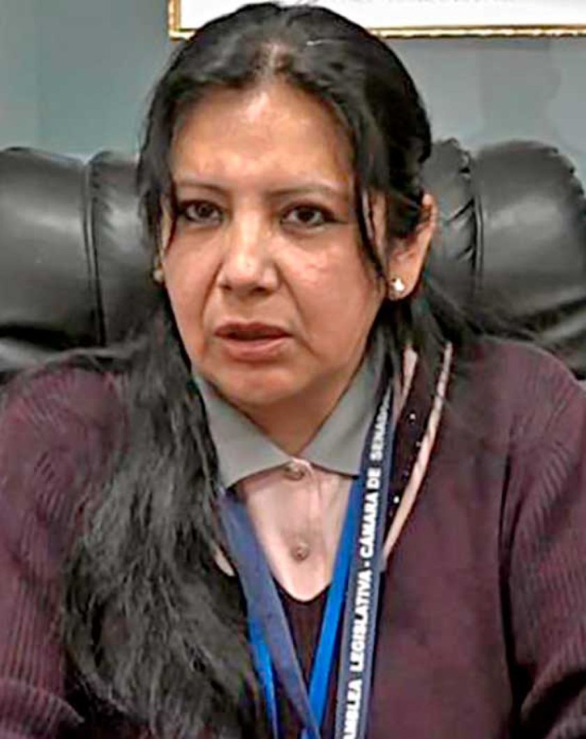 Senadora Castillo será rival de Andrónico