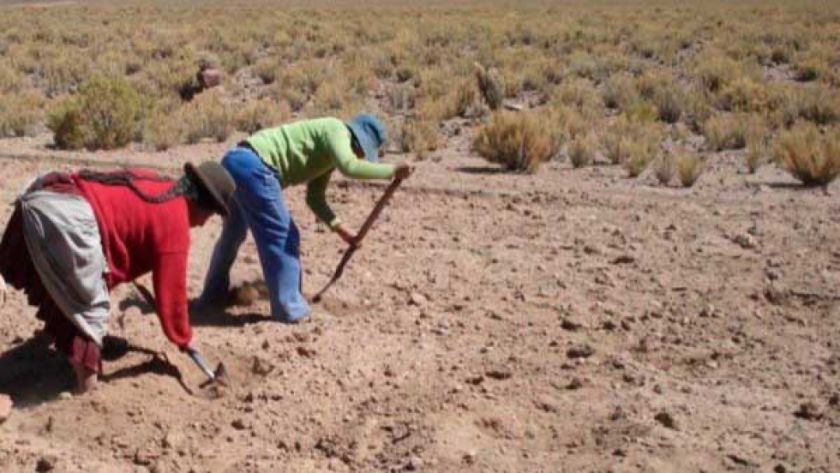 Llegaron las lluvias y en el agro alistan la siembra