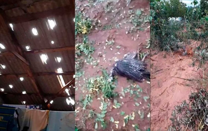 Granizada mata a animales en  dos comunidades de Tupiza