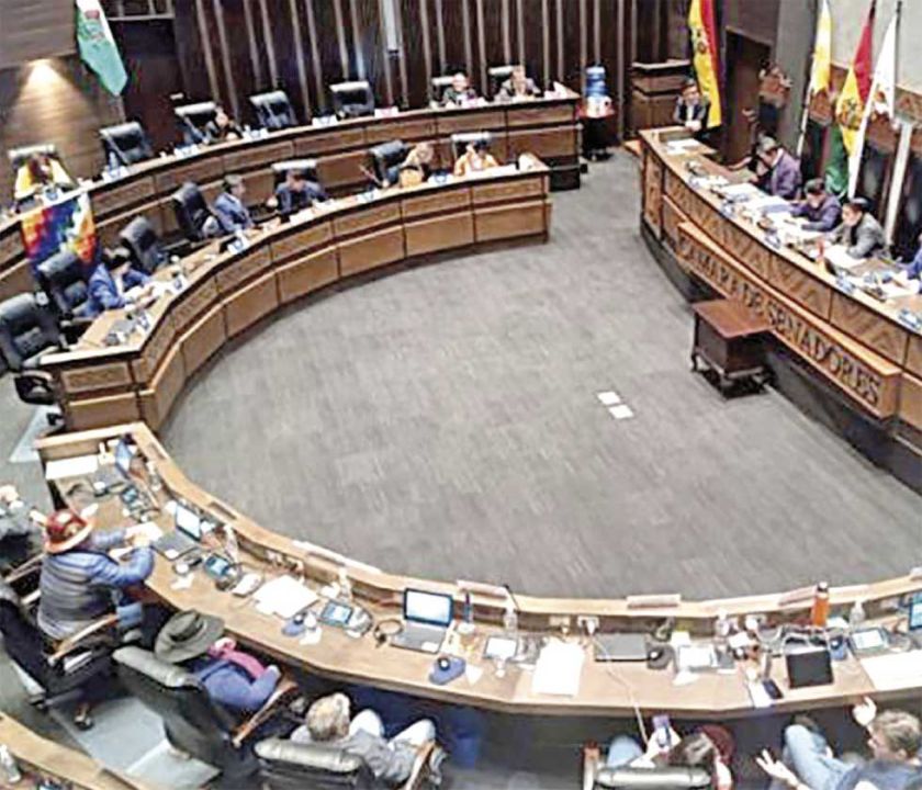 Por segundo año, el  MAS se enfrenta por control del Senado