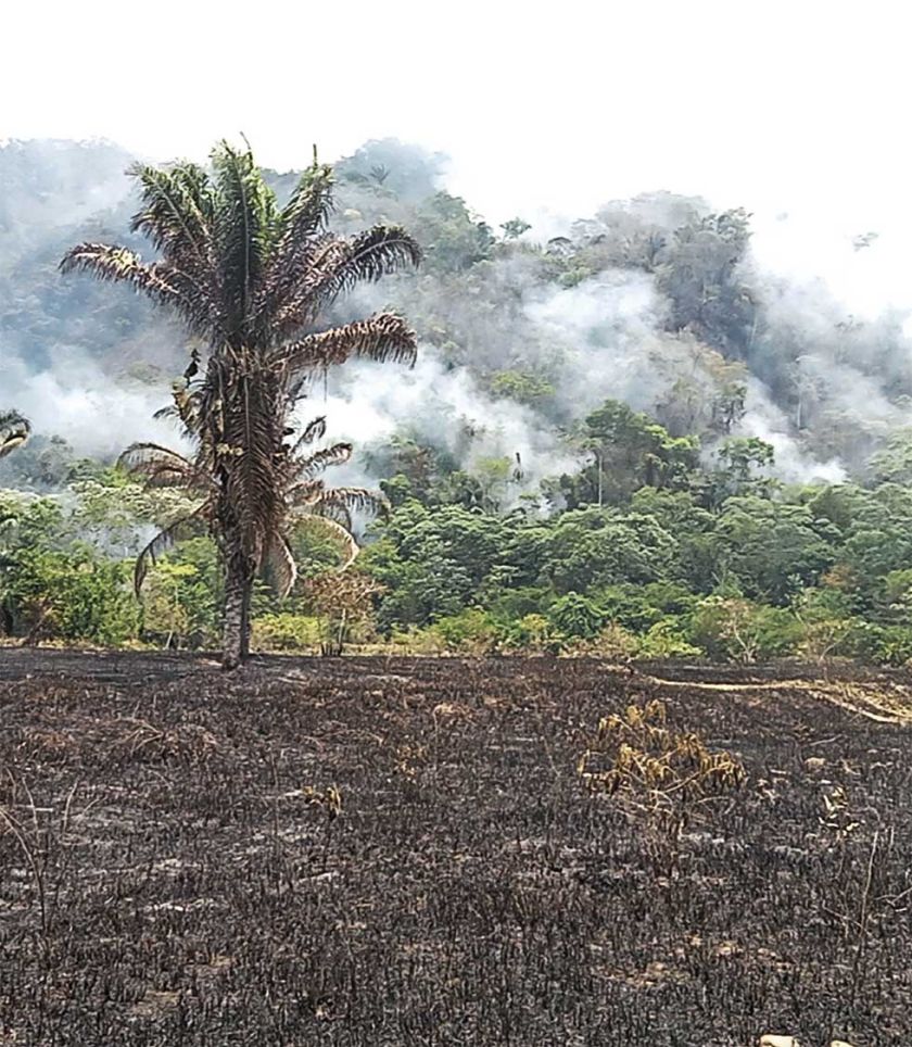 Baja número de incendios y sube sanción por quemas