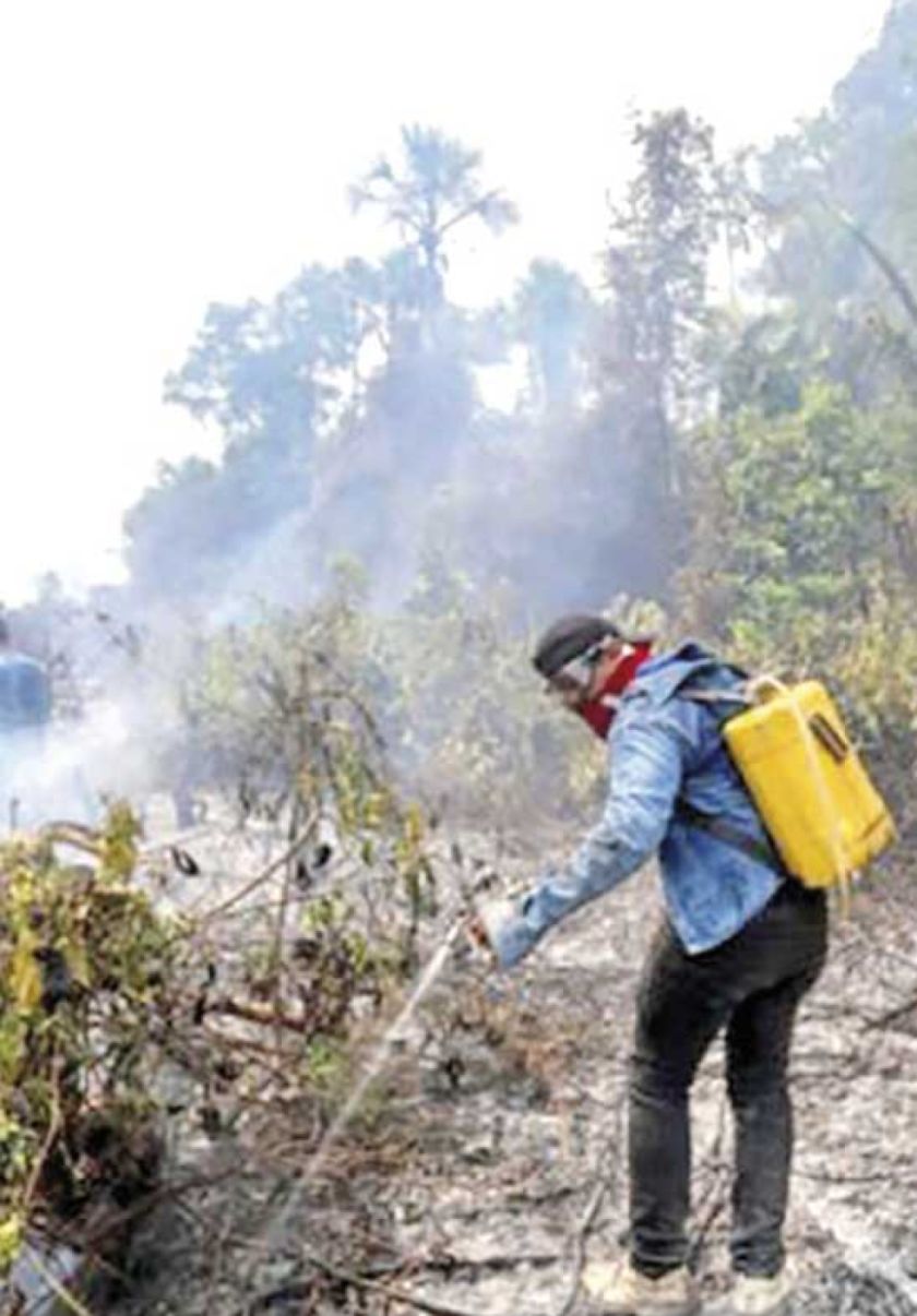 Incendios: Beni reporta pérdida de 1,5 millones de hectáreas de bosque