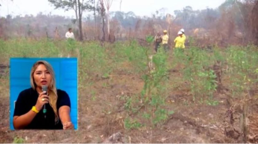 Destituyen a la funcionaria que denunció plantaciones ilegales de coca dentro del Parque Amboró