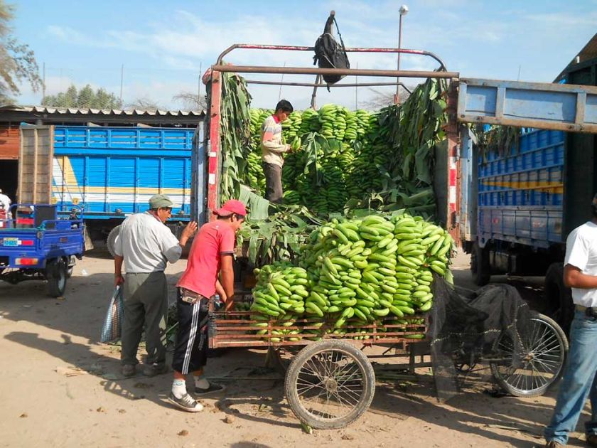 La alcaldía consolida la entrega de fruta en el desayuno escolar 2023