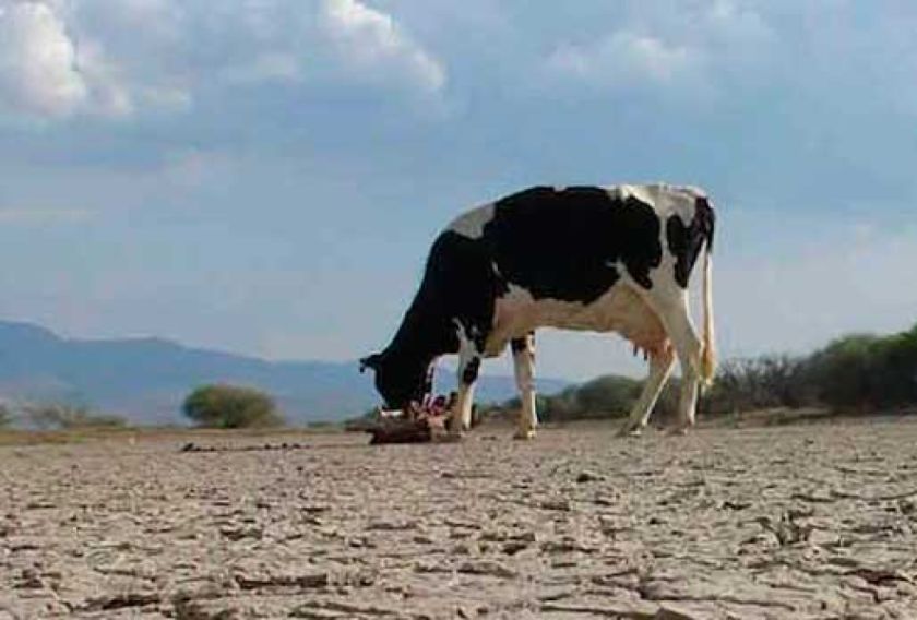 Tacobamba declara emergencia por culpa de la falta de agua