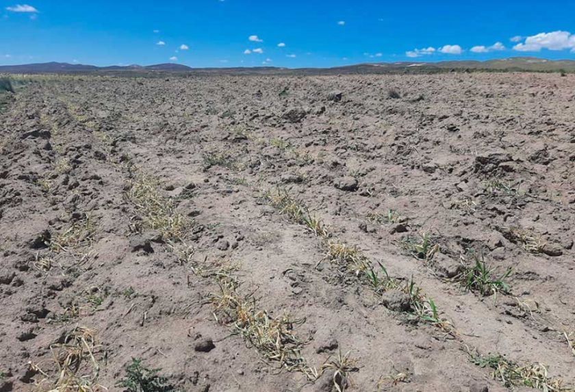 Las lluvias no llegan y temen que no haya alimentos para la gente