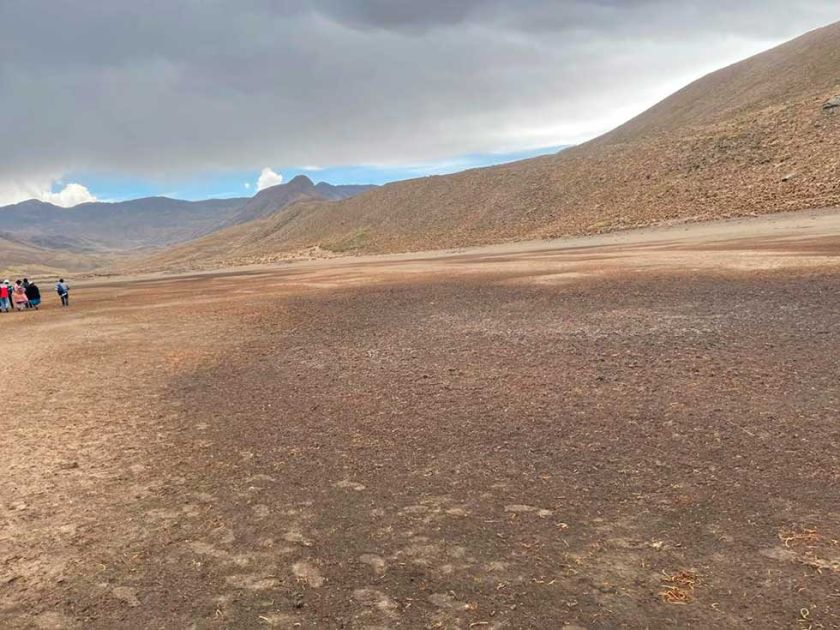 Reportan la muerte de peces en una laguna del sistema Kari Kari