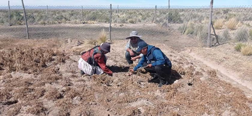 Temen por migración campesina masiva debido a la falta de agua