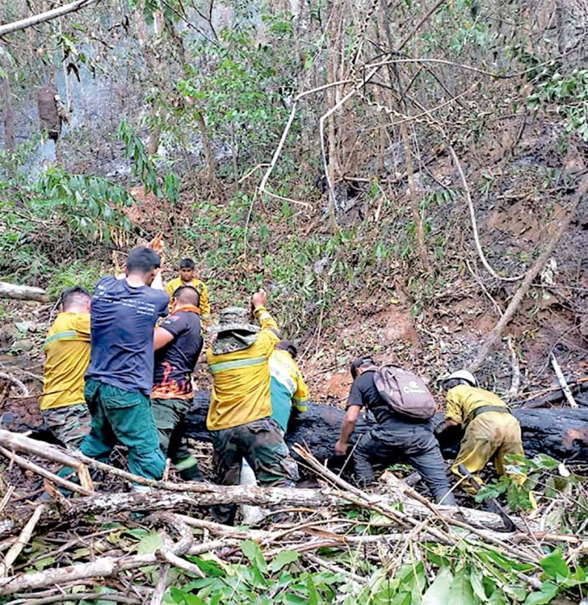 Gobierno acusa a dos sectores por los incendios en el país