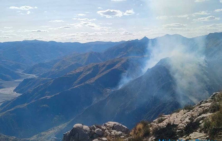 Un incendio en el Cerro Characayo destruyó plantas y mató animales