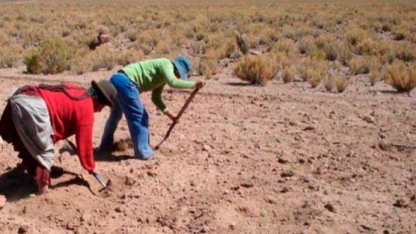 Pronostican presencia de lluvias y esperan que avance la siembra