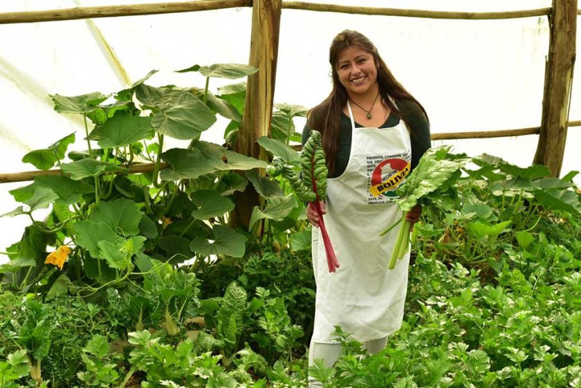 Sube a 15 años prohibición de cambio de uso de suelo en área productiva urbana