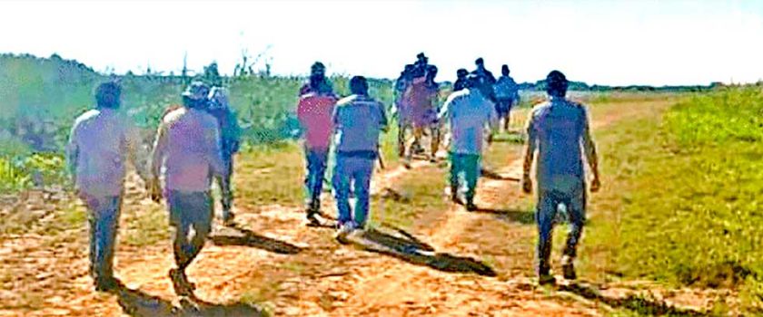 INRA: No se dotarán tierras de Pailitas por estar dentro de una reserva forestal