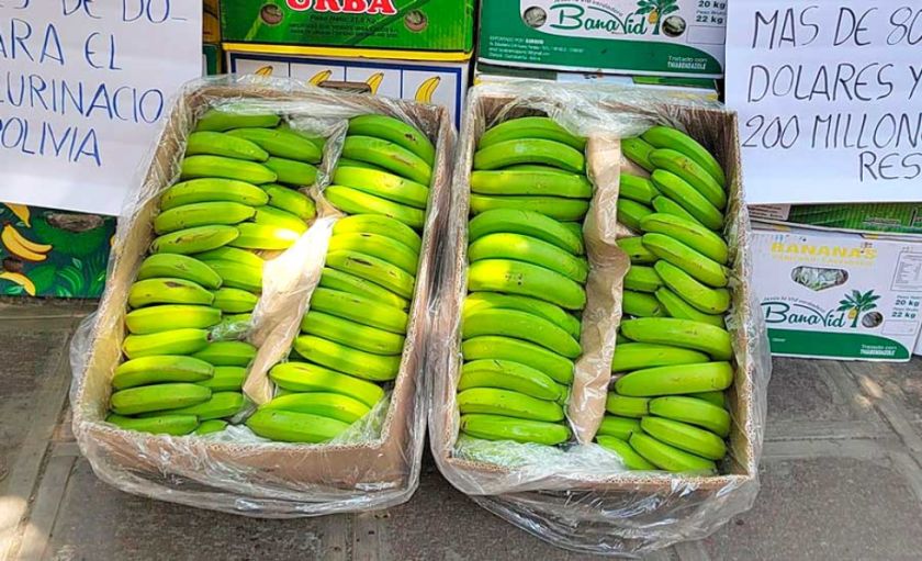 Bananeros continúan exportando a Argentina