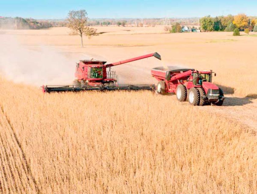 Crecimiento del agro fue del 11% la gestión 2023