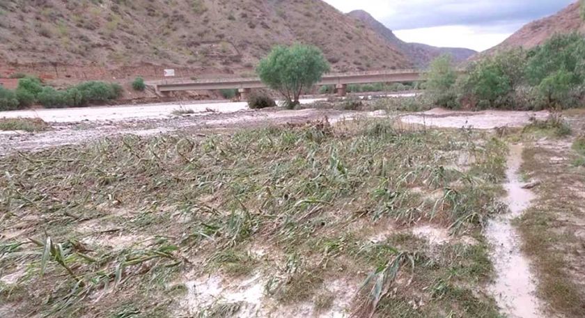 Reportan 17 municipios potosinos afectados por fenómenos naturales