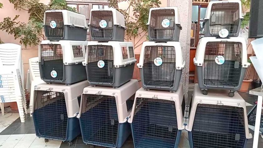 Entregan equipamiento a la Unidad de Zoonosis