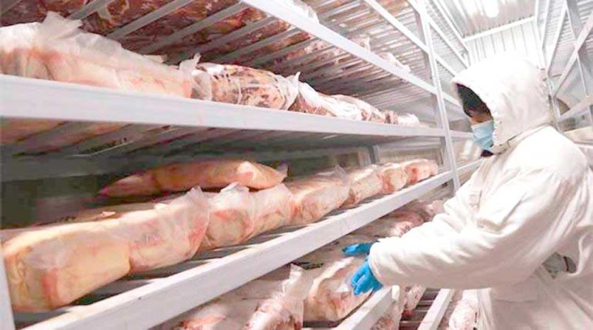 Exportaciones caen en $us 2.523 millones