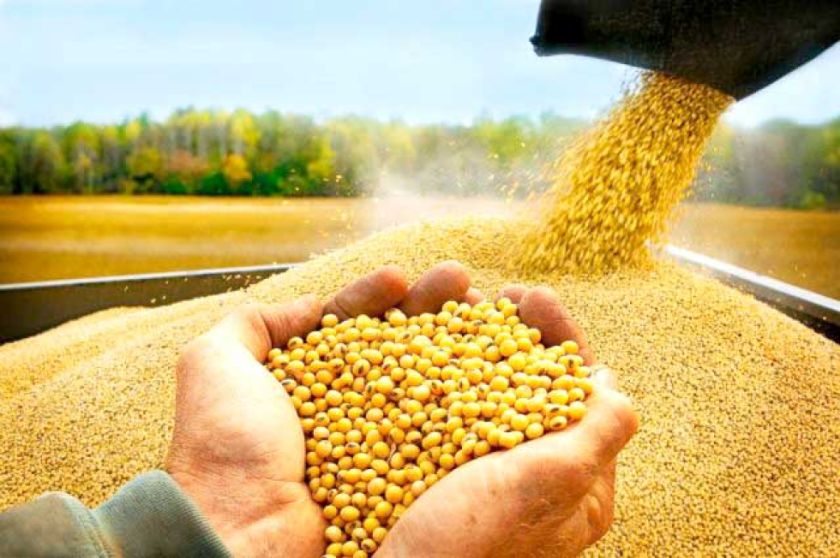 Bolivia exportó $us 1.860 millones en alimentos hasta octubre de esta gestión