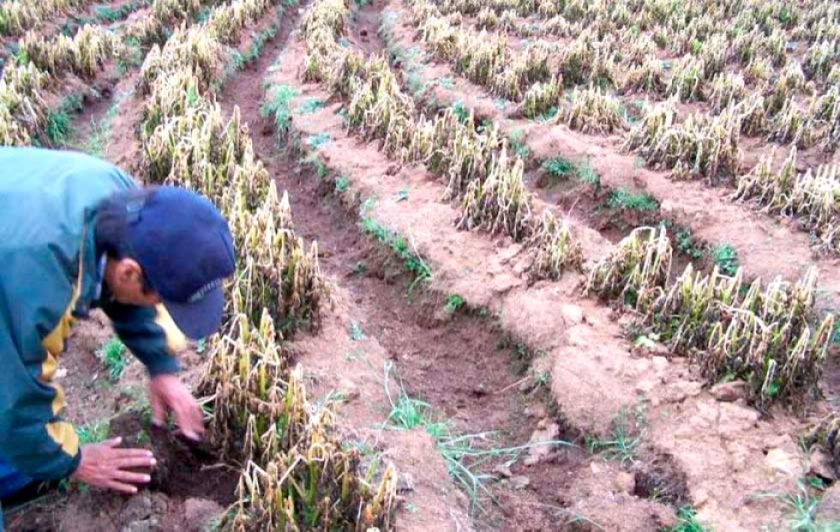 Vitichi sufre los efectos de riadas y granizadas