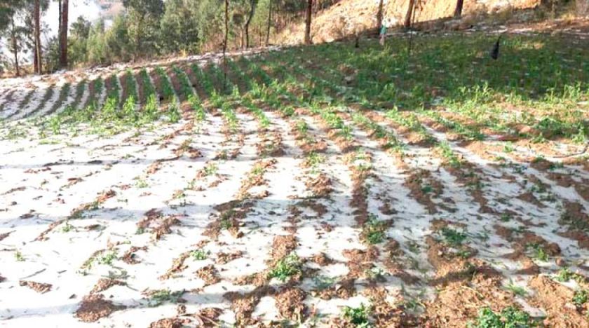 Desastres naturales causaron daños en 25 municipios de Potosí