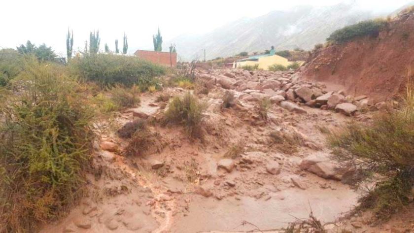 Riadas destruyeron cultivos en la zona de Villazón y Caripuyo
