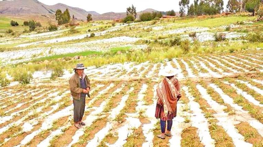 Granizadas ya afectaron más de 200 hectáreas de cultivos en el Departamento