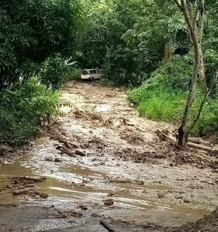 La Paz: Reportan que hay cuatro muertos por riada en Irupana 