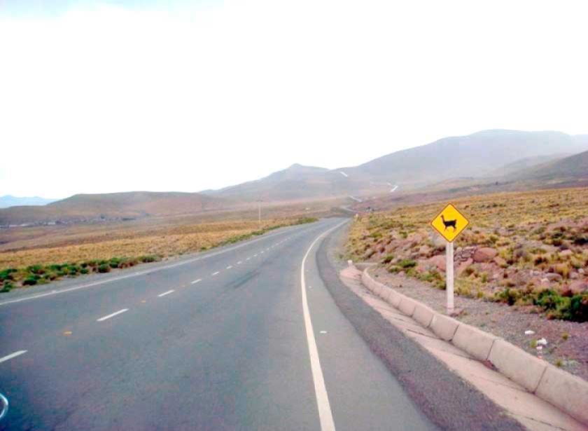 Se normalizan los viajes desde  Potosí, excepto  a Cochabamba