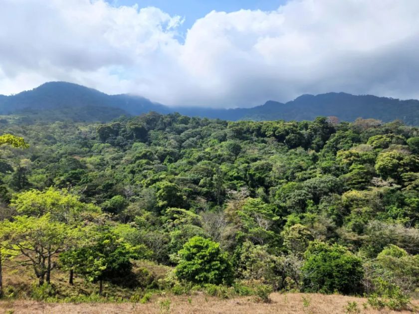 Cuatro muertos y tres heridos en un accidente de helicóptero militar de Colombia en el Darién