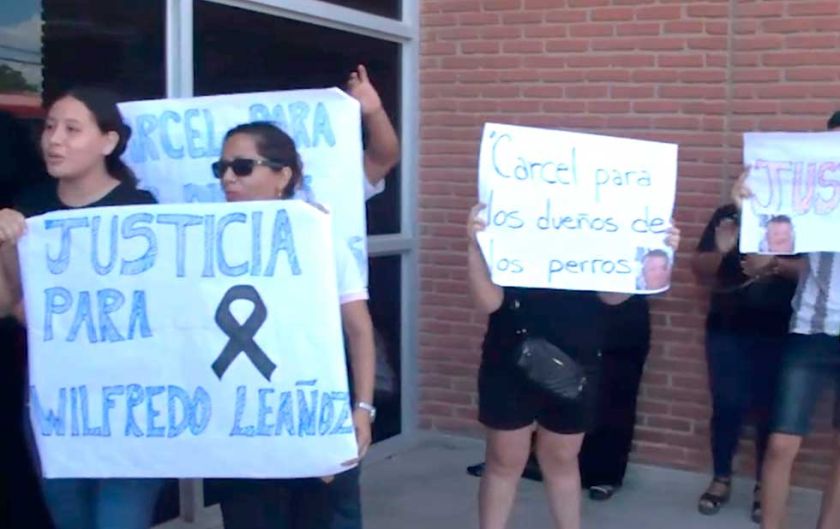 Aprehenden al dueño de los perros pitbull que le quitaron la vida a anciano